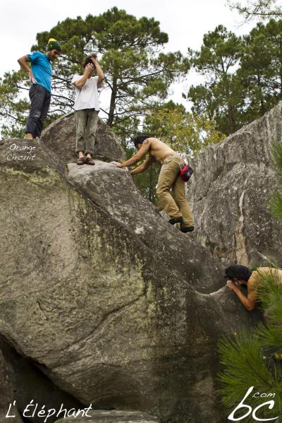 "Orange Circuit" (11)